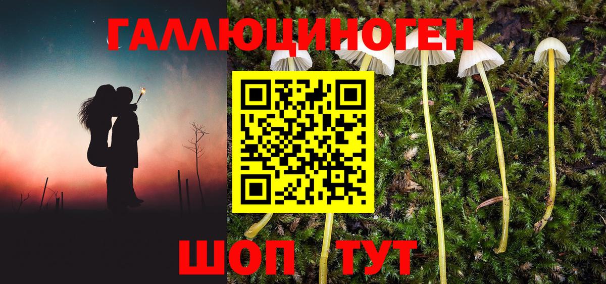Псилоцибиновые грибы мухоморы Трёхгорный