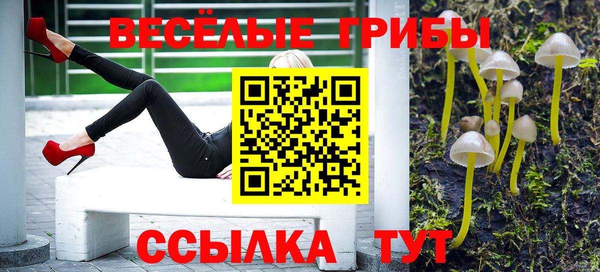 Трёхгорный  Галлюциногенные грибы прущие грибы  где продают   Вход с VPN  Псилоцибиновые грибы MAGIC MUSHROOMS 